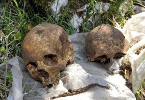 Pročitajte više o članku Na Drenovi pronađene kosti njemačkih vojnika ubijenih 1945. godine u krvavoj bitci za Rijeku
