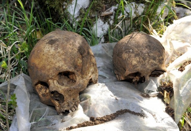 Trenutno pregledavate Na Drenovi pronađene kosti njemačkih vojnika ubijenih 1945. godine u krvavoj bitci za Rijeku